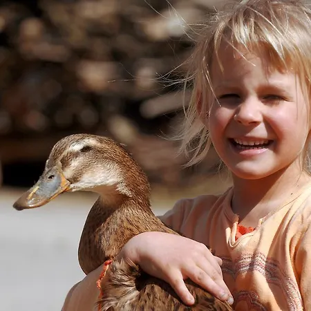 Zwergerlhof شقة *