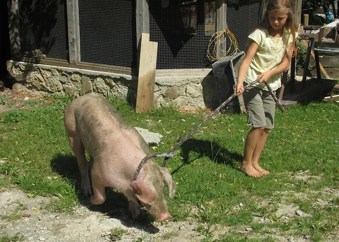 Zwergerlhof Διαμέρισμα Loich