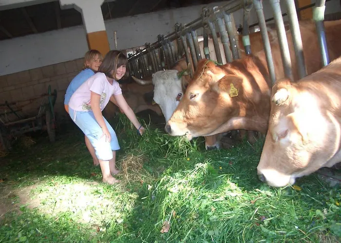 Zwergerlhof Διαμέρισμα